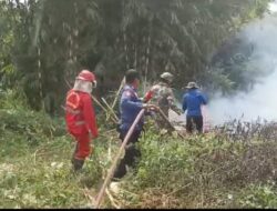 Babinsa Koramil 0420-04/Sarolangun Bantu Padamkan Api Di Lahan Kosong Milik Warga   Sarolangun – Membantu warga sudah merupakan tugas dan tanggung jawab seorang Babinsa, seperti halnya dengan Babinsa Serda Aan Satria, begitu mendengar terjadi kebakaran di wilayah binaannya langsung menuju lokasi kejadian.  Sekedar informasi bertempat Kelurahan Aur Gading RT 27 Kec. Sarolangun, Kab Sarolangun telah terjadi kebakaran lahan kosong milik warga Kelurahan Aur Gading dengan luar 0,5 H, yang dekat dengan pemungkiman padat milik warga.  Menurut Babinsa Serda Aan Satria kebakaran meluas dikarenakan kondisi kemarau dan angin yang cukup kencang sehingga api dengan cepat menyebar diberbagai penjuru, sehingga dengan sigap Babinsa bersama Pemadam Kebakaran Sarolangun bergotongroyong memadamkan api dengan menurunkan 3 unit mobil tengki pemadam kebakaran,” ungkapnya  Api cukup besar sehingga kami menghubungi pihak Pemadam Kebakaran Sarolangun, dan Tim sagas Karhutla karena bila tidak cepat ditangani bisa membakar rumah warga yang tidak jauh dari lokasi titik kebakaran,” Babinsa menambahkan.  Ade Cipto Komandan Peleton Damkar  menjelaskan kebakaran terjadi sekitar pukul 13.00 Wib, saat itu hanya satu titik dikarenakan kondisi angin, sehingga api cepat merambat, untungnya Pemadam Kebakaran dan Tim Satgas cepat datang sehingga api bisa dipadamkan, dan alhamdulillah tidak ada pemukiman warga yang ikut terbakar,”jelasnya.  Kami ucapkan terimakasih kepada bapak TNI khususnya Bapak Bapak Babinsa  yang datang membantu padamkan api bersama petugas Pemadam kebakaran dan Satgas Karhutla Komandan Damkar menambahkan.