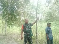 Cegah Kebakaran Hutan Sejak Dini, Babinsa Lakukan Patroli Karhutla Dengan Warga Binaan