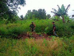 Babinsa Lakukan Upaya Sosialisasi Karhutla Dengan Rutin Patroli Bersama Warga Desa