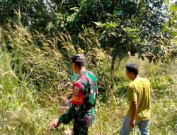 Jaga lingkungan agar terhindar dari Karhutla Babinsa 06/Muara Siau rutin Patroli Karhutla