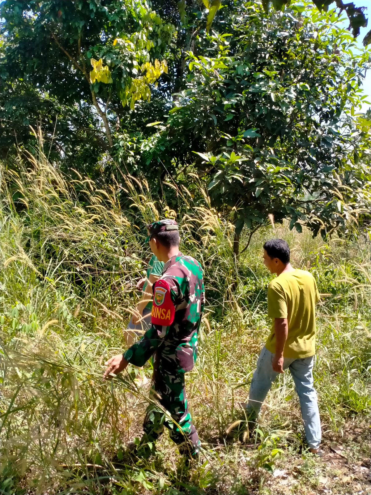 Jaga lingkungan agar terhindar dari Karhutla Babinsa 06/Muara Siau rutin Patroli Karhutla