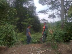 Babinsa Koramil 06 Muara Siau Kodim 0420/Sarko Laksanakan Patroli Rutin untuk Cegah Karhutla di Wilayah Binaan