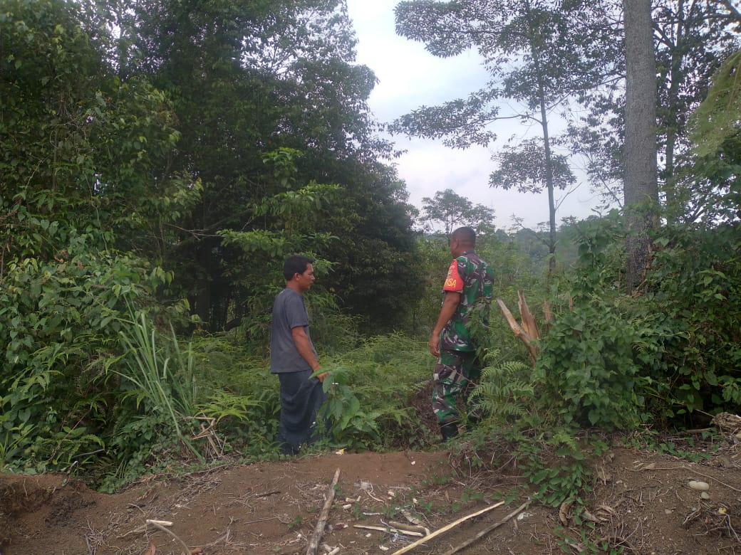 Babinsa Koramil 06 Muara Siau Kodim 0420/Sarko Laksanakan Patroli Rutin untuk Cegah Karhutla di Wilayah Binaan