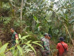 Babinsa Koramil 01/Batang asai Itensifkan Patroli Kebakaran Hutan Dan Lahan 