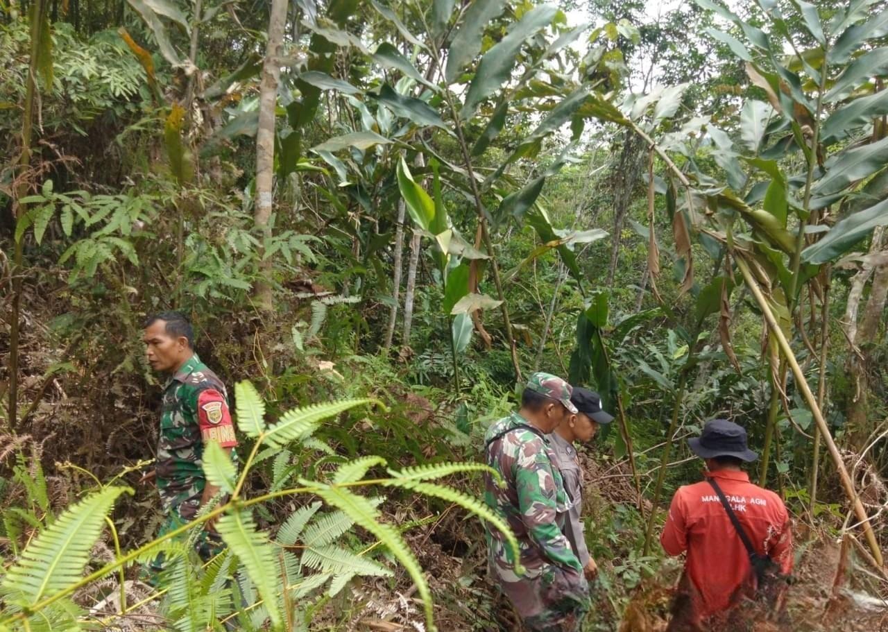 Babinsa Koramil 01/Batang asai Itensifkan Patroli Kebakaran Hutan Dan Lahan 