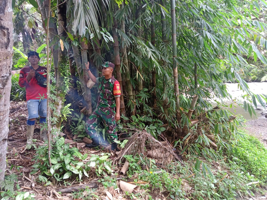 Babinsa Serda Habibul Muin dari Koramil 420-06/Muara Siau melaksanakan kegiatan pengecekan kehutanan