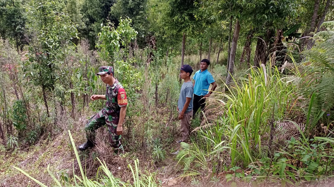 Babinsa Lakukan Upaya Sosialisasi Karhutla Dengan Rutin Patroli Bersama Warga Desa