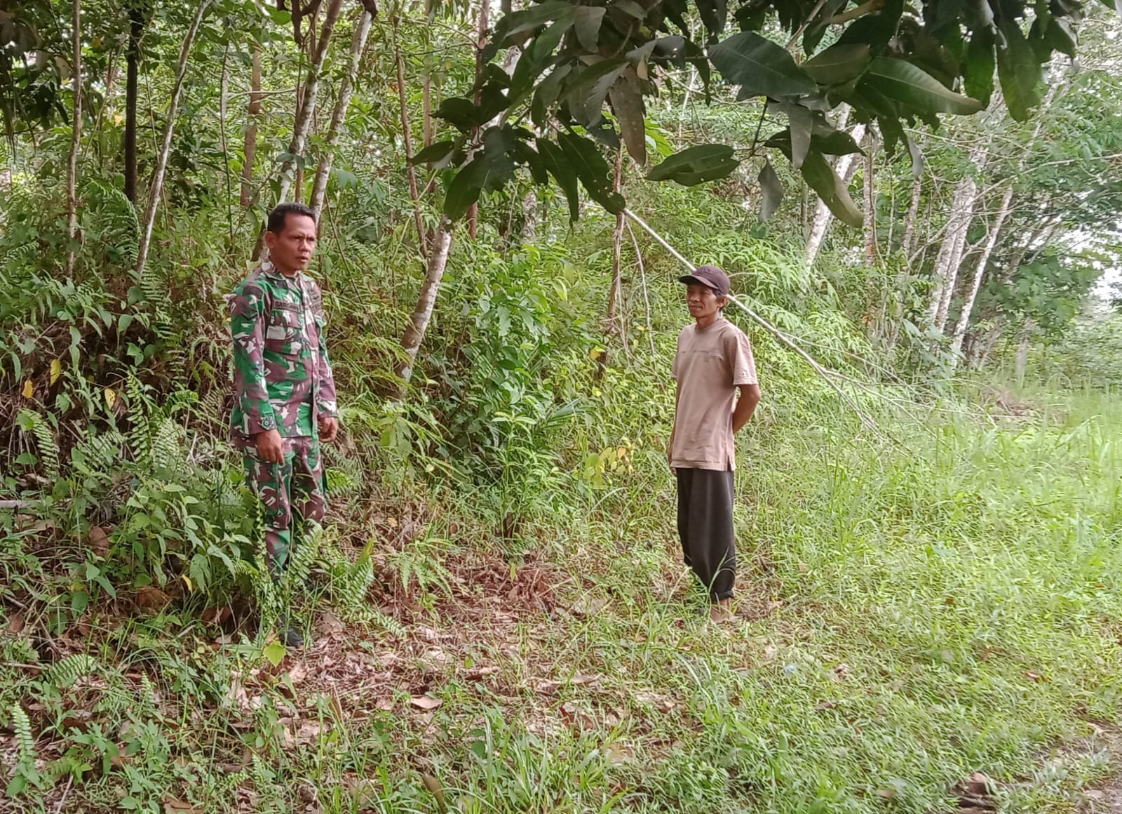 Telusuri Semak Belukar, Babinsa Koramil 06/Muara Siau Ajak Warga Binaan Patroli Karhutla