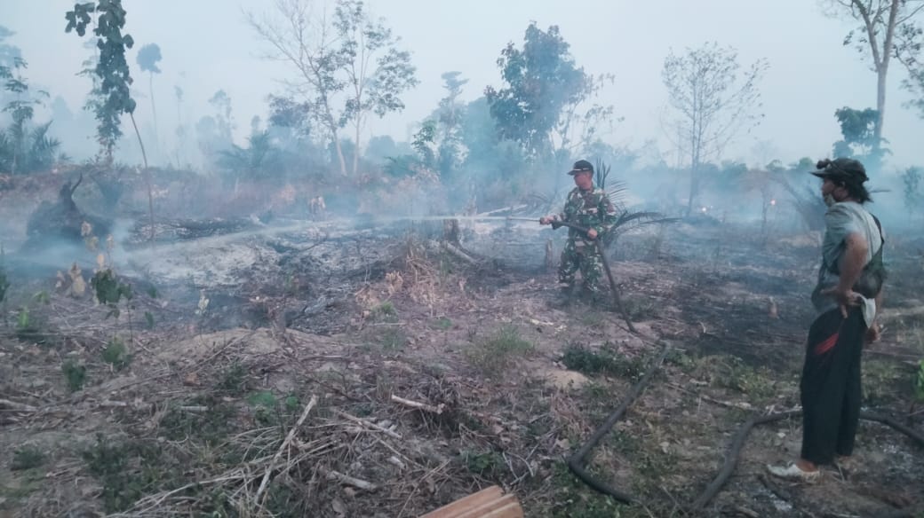 Kodim0420/Sarko,Kerja Keras Koramil 03/Pauh Berhasil Kendalikan Kebakaran di Lahan Gambut