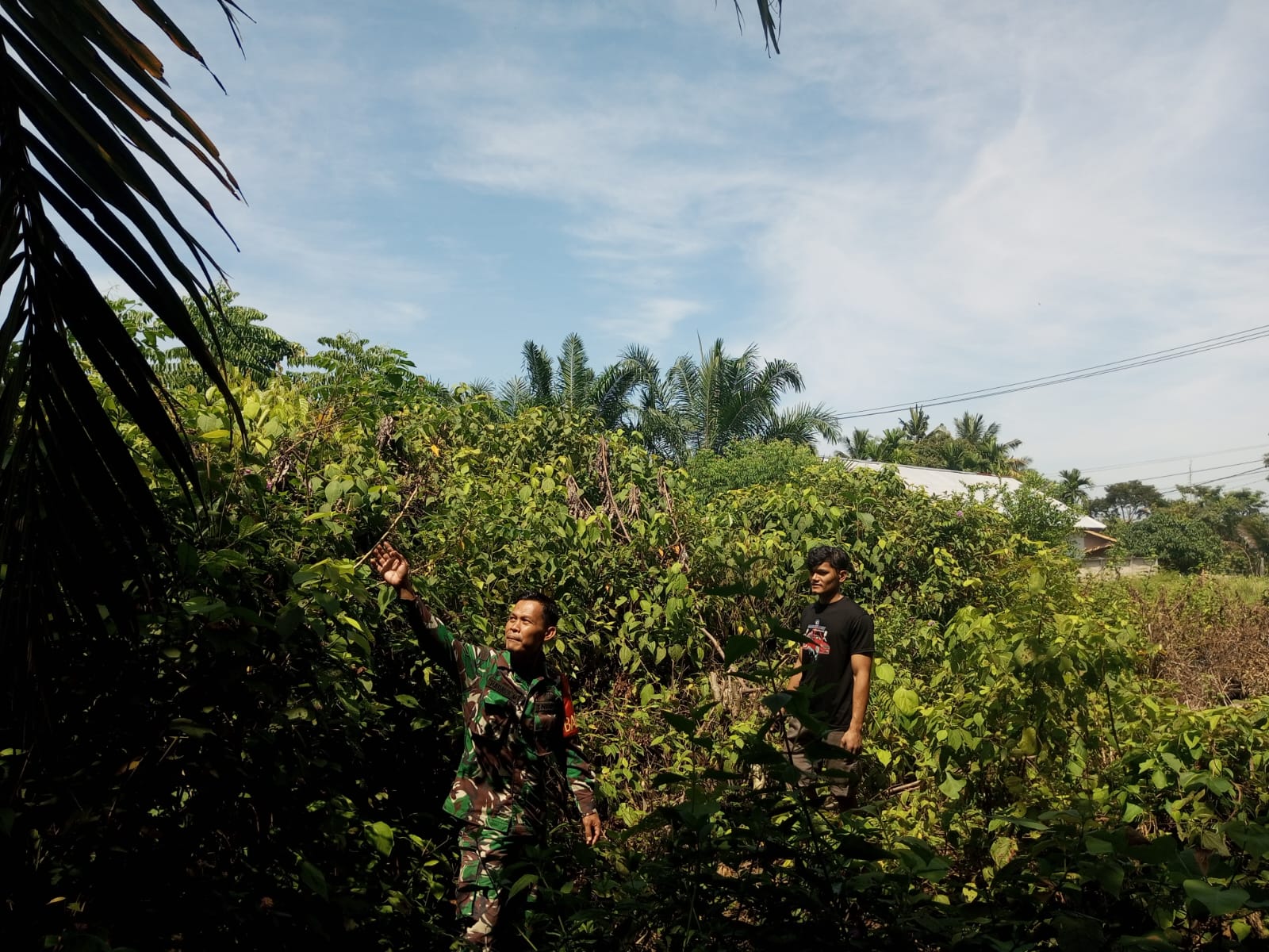 Babinsa Intensifkan Patroli Karhutla: Upaya Pencegahan Kebakaran Hutan dan Lahan”