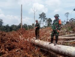 Koramil 01/Batang Asai,Kodim 0420/Sarko laksanakan Patroli Karhutlah Di Desa Binaan