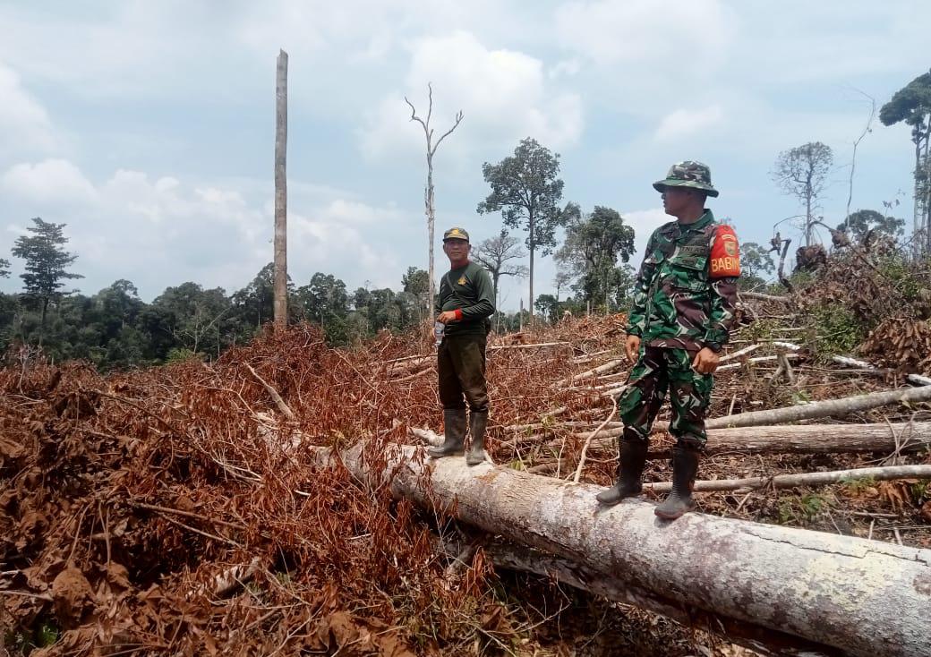 Koramil 01/Batang Asai,Kodim 0420/Sarko laksanakan Patroli Karhutlah Di Desa Binaan