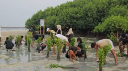 Pulau Pramuka Jadi Lokasi Kerja Sama LindungiHutan dan Smiling Coral Indonesia