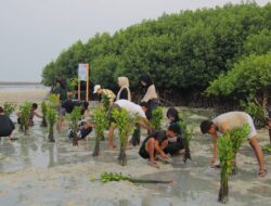 Pulau Pramuka Jadi Lokasi Kerja Sama LindungiHutan dan Smiling Coral Indonesia