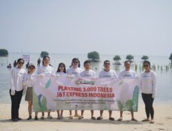 Program CSR J&T Express Tanam 3.000 Mangrove untuk Melestarikan Lingkungan