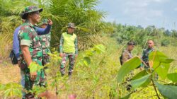 TMMD Ke 122 Kodim 0420 Sarko Bakal Buka Jalan Sepanjang 4 Kilometer