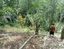 Anggota Satgas TMMD ke 122 Kodim Sarko Siapkan Lokasi Pembuatan Kolam, Kandang Kambing dan Lahan Pertanian