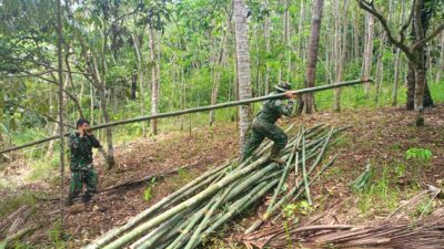 Anggota Satgas TMMD ke 122 Kodim 0420 Sarko Menyiapkan Bambu Untuk Kolam Ikan Warga