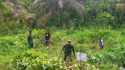 Anggota Satgas TMMD ke 122 Kodim 0420 Sarko Mulai Bersihkan Lahan Pertanian 