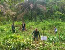 Program Ketahanan Pangan TMMD ke 122 Kodim 0420 Sarko Siap Wujudkan Kebutuhan Pangan Berkelanjutan di Desa Bedeng Rejo