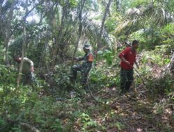 Anggota Satgas TMMD ke 122 Kodim 0420 Sarko Mencari Kayu Untuk Pembuatan Kandang Kambing