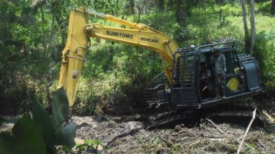 Satgas TMMD ke 122 Kodim 0420 Sarko Siapkan Lahan Pertanian Untuk Program Ketahanan Pangan Warga 