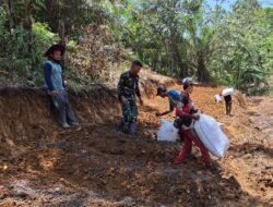 Anggota Satgas TMMD ke 122 Kodim 0420 Sarko dan Masyarakat Berkolaborasi Ciptakan Lahan Pertanian Berkelanjutan