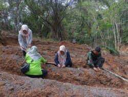 Anggota Satgas TMMD ke 122 Kodim 0420 Sarko dan Emak-emak Tanam Cabai 