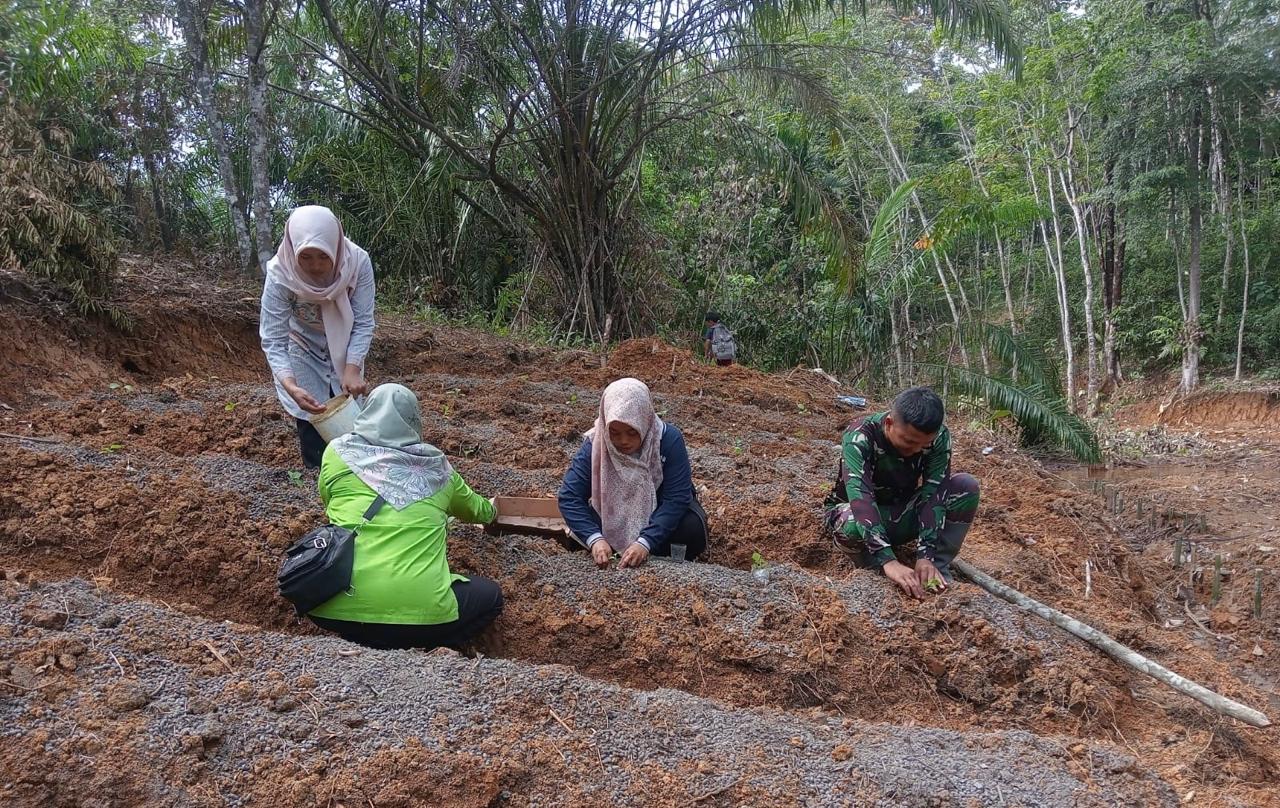 Anggota Satgas TMMD ke 122 Kodim 0420 Sarko dan Emak-emak Tanam Cabai 