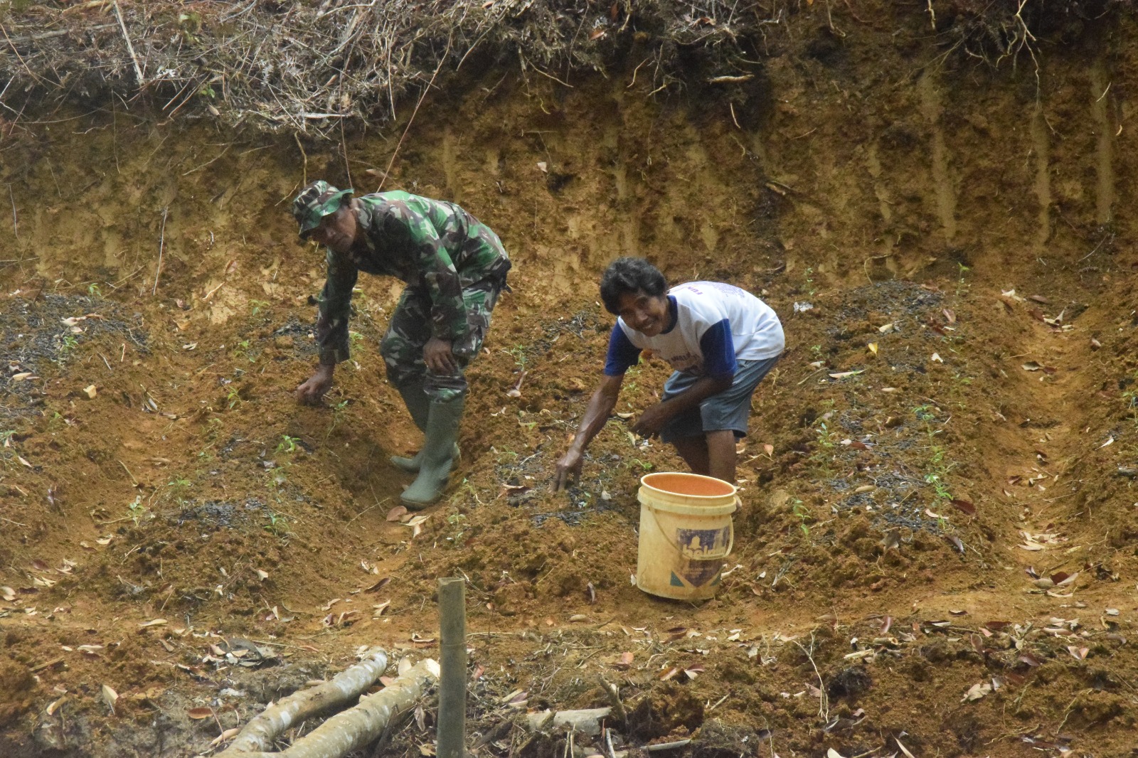 Dibantu Warga, Anggota Satgas TMMD Menabur Pupuk Pada Tanaman Cabai