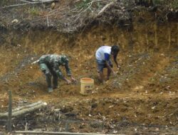 Dibantu Warga, Anggota Satgas TMMD Menabur Pupuk Pada Tanaman Cabai