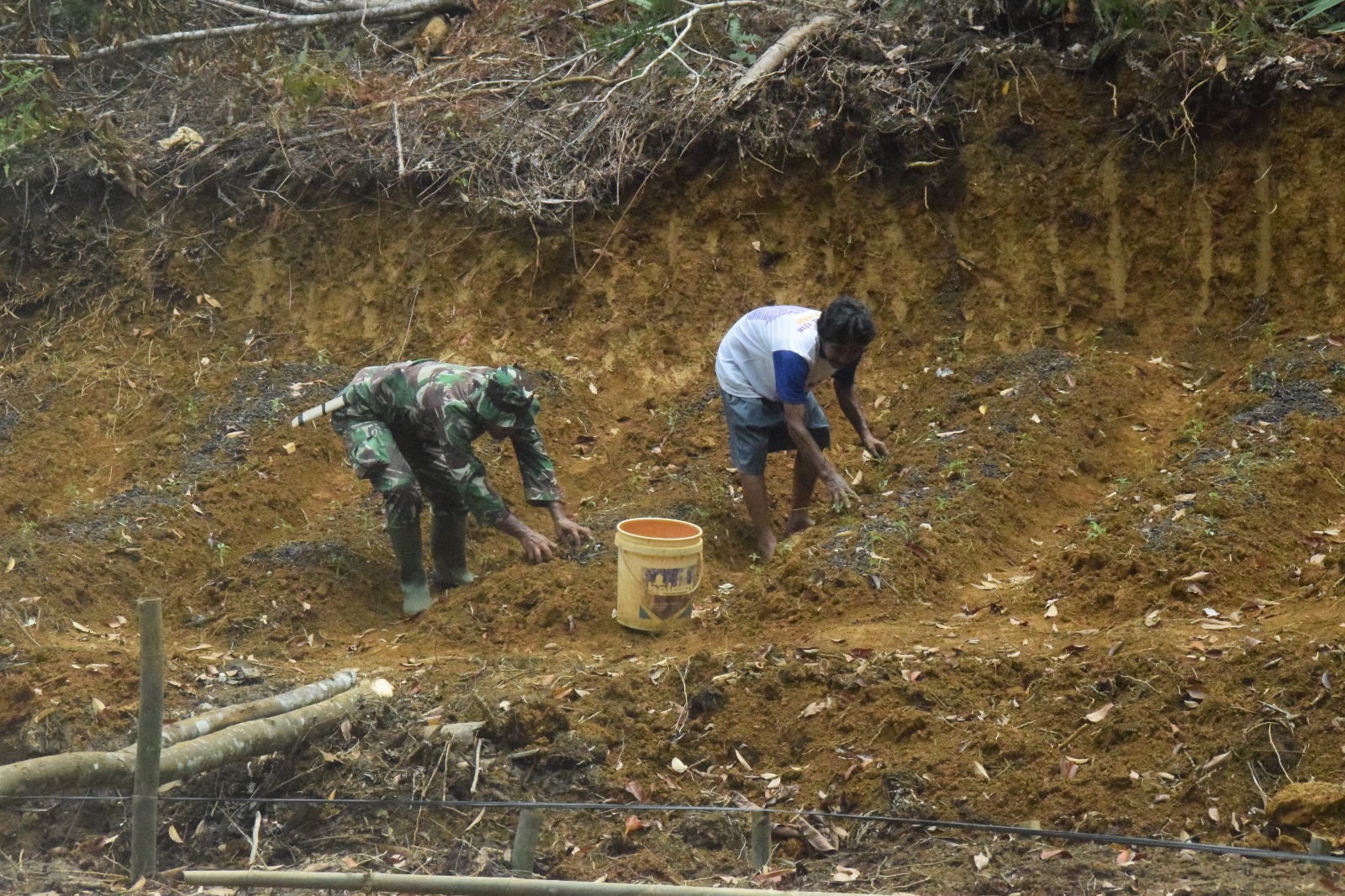 Dibantu Warga, Anggota Satgas TMMD Menabur Pupuk Pada Tanaman Cabai