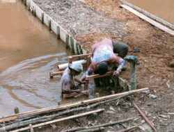 Pengerjaan Pembuatan Kolam Ikan Oleh Satgas TMMD ke 122 Kodim 0420 Sarko Sudah Finishing