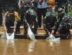 Danrem 042/Gapu Brigjen TNI Rachmad Lepaskan Bibit Ikan Nila di Lokasi Hanpangan TMMD ke 122 Kodim 0420/Sarko