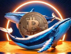 Bitcoin Whale Holdings Melonjak 813% di 2024, Apa Artinya Bagi Pasar Kripto?