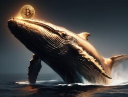 Jumlah Bitcoin Whale Pecahkan Rekor Tertinggi Sejak 2021, Akumulasi Makin Menggila!