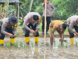 Kapolres Sarolangun Lepas Ribuan Bibit Ikan Patin dan Turun Kesawah dukung Program Swasembada Pangan