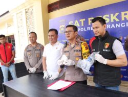 Miliki 92,51 Gram Mineral Emas hasil Tambang Emas Ilegal “PETI” Pria Inisial “S 29 Tahun ” di Tangkap Streskrim Polres Merangin.