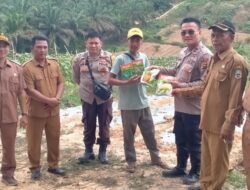 Polsek Mandiangin Serahkan Bantuan Bibit dan Perawatan Lahan Ketahanan Pangan 