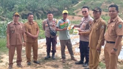 Polsek Mandiangin Serahkan Bantuan Bibit dan Perawatan Lahan Ketahanan Pangan 