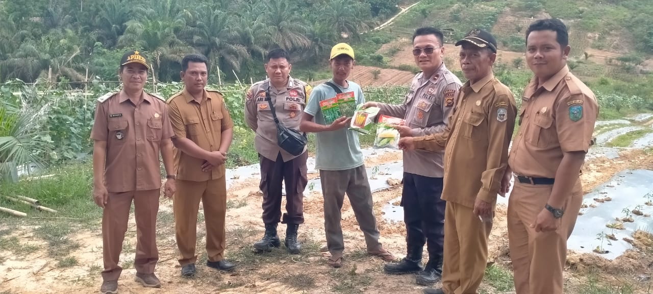 Polsek Mandiangin Serahkan Bantuan Bibit dan Perawatan Lahan Ketahanan Pangan 