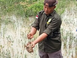 Situ Cijoro Diduga Dirusak Oknum Tak Bertanggungjawab, Forwatu Banten Lakukan Aksi Bebersih Desak Pemerintah Segera Turun Tangan