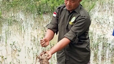 Situ Cijoro Diduga Dirusak Oknum Tak Bertanggungjawab, Forwatu Banten Lakukan Aksi Bebersih Desak Pemerintah Segera Turun Tangan