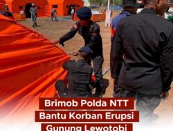 Personel Brimob Polda Nusa Tenggara Timur Bergerak Cepat Membantu Korban Erupsi Gunung Lewotobi