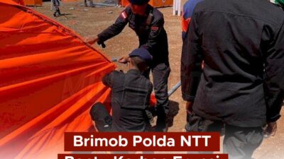 Personel Brimob Polda Nusa Tenggara Timur Bergerak Cepat Membantu Korban Erupsi Gunung Lewotobi