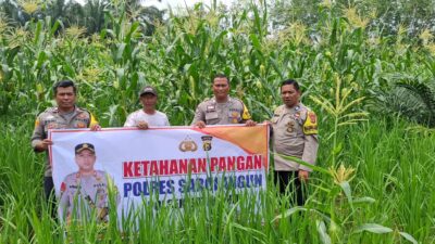 Polsek Bathin VIII Polres Sarolangun Sambangi Warga,Edukasi Peningkatan Hasil Perkebunan dan Pertanian Sistim Tumpang sari