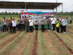 Kapolres Sarolangun Lounching Gugus Tugas Polri Mendukung Ketahanan Pangan ditandai dengan Tanam Jagung 