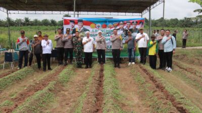 Kapolres Sarolangun Lounching Gugus Tugas Polri Mendukung Ketahanan Pangan ditandai dengan Tanam Jagung 