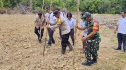 Kapolsek Mandiangin Dukung Ketahanan Program Pemerintah Pusat Tanam Jagung Bersama Unsur Tripika dan Kades