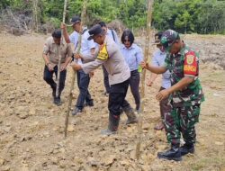 Kapolsek Mandiangin Dukung Ketahanan Program Pemerintah Pusat Tanam Jagung Bersama Unsur Tripika dan Kades